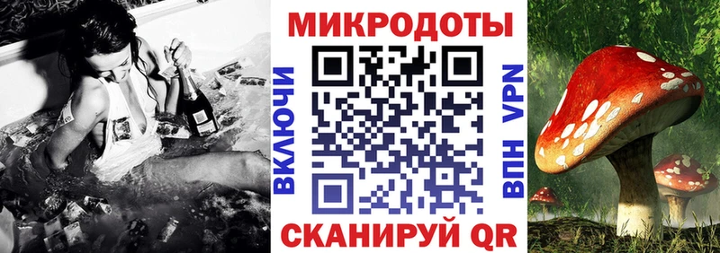 Галлюциногенные грибы Cubensis  Донской 