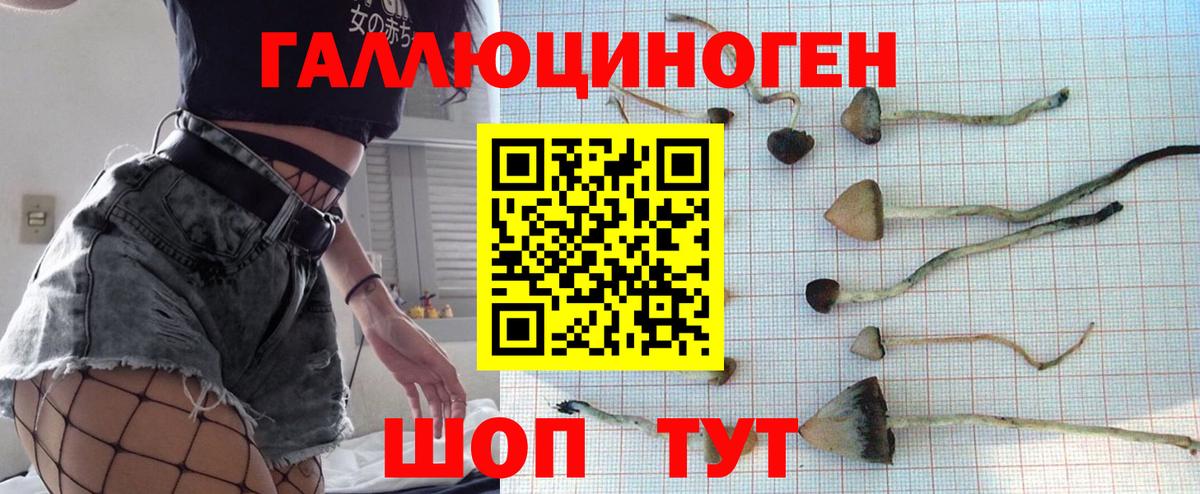 Псилоцибиновые грибы мицелий Донской