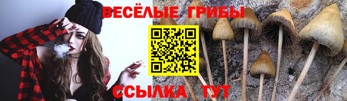 Галлюциногенные грибы GOLDEN TEACHER Донской